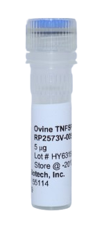 Recombinant Protein (TL1A), tnfsf15 ovine (otnTNFSF15)