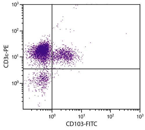 Anti-CD103 / Integrin alpha E (FITC), clone 2E7