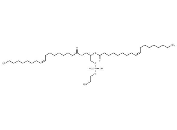 Glycerophospholipids, cephalins