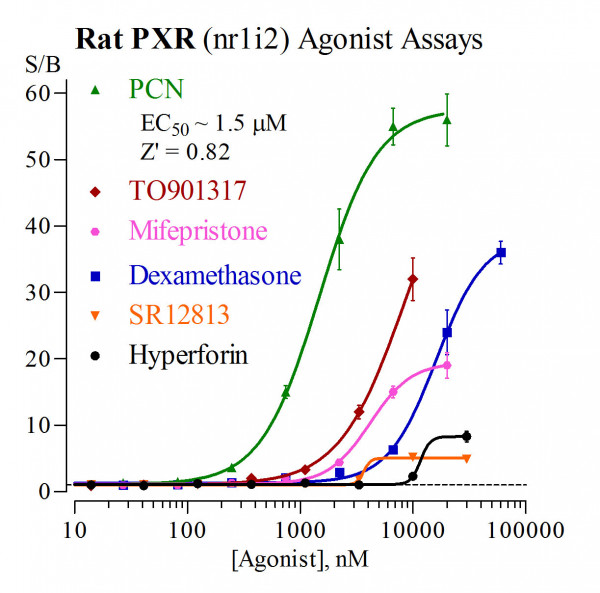 PXR (Rat) Reporter Assay System