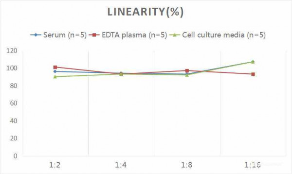 Rat LEP (Leptin) CLIA Kit