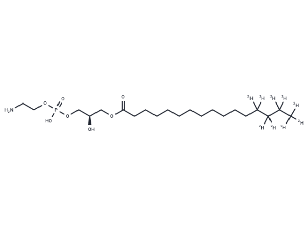 1-Palmitoyl-d9-2-hydroxy-sn-glycero-3-PE