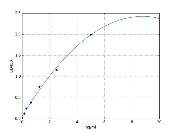 Human SLC29A1 / ENT1 ELISA Kit