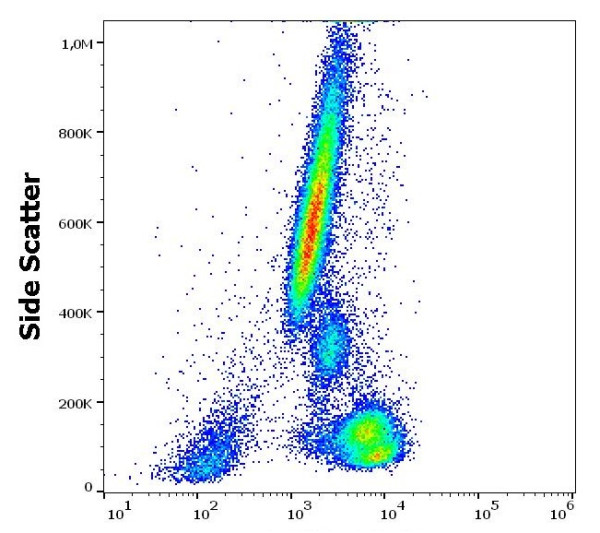 Anti-Bcl2, clone Bcl2/100/D5 (FITC)