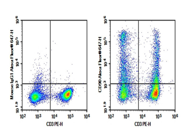 Purified Anti-Rat CD90 Antibody [OX-7]
