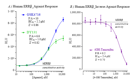 ERRb Reporter Assay System [Human]