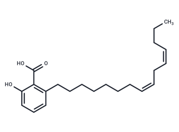 Anacardic Acid Diene