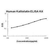 Kallistatin/Serpina4 BioAssay(TM) ELISA Kit, Human
