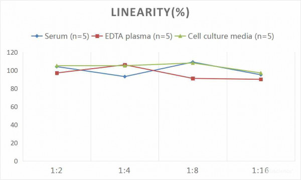 Mouse IFN-gamma (Interferon Gamma) CLIA Kit