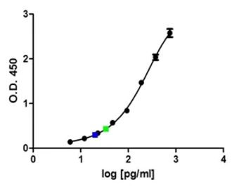 Anti-Granzyme B, clone GB11