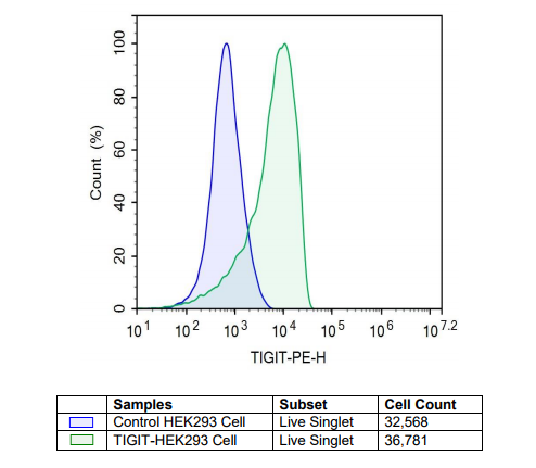 TIGIT - HEK293 Recombinant Cell Line