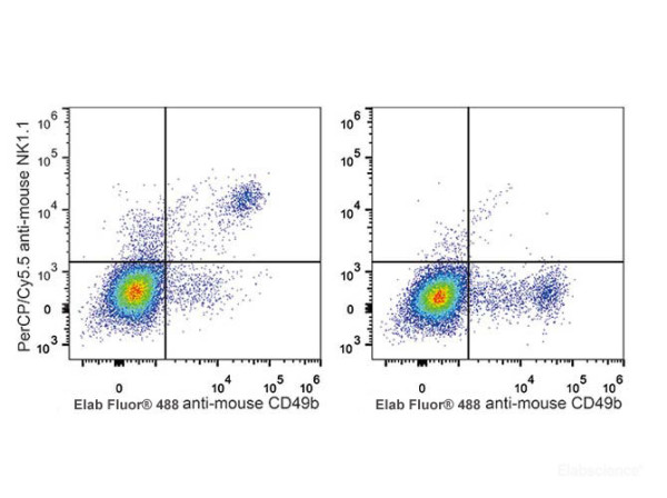Anti-Mouse CD161/NK1.1 (PerCP/Cyanine5.5 Conjugated)[PK136], clone PK136