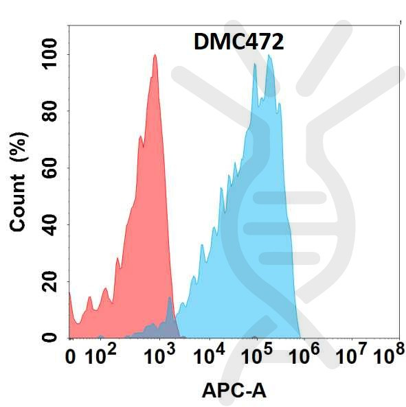 Anti-EPHA4 antibody(DMC472), IgG1 Chimeric mAb