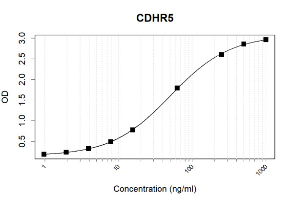 Anti-Human CDHR5 Antibody Pair