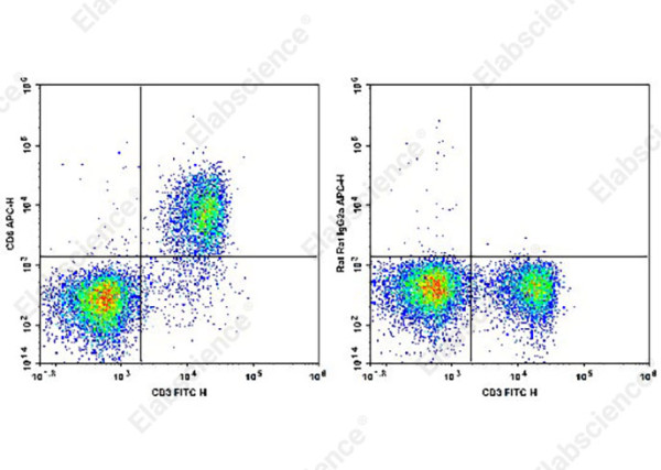 APC Anti-Mouse CD6 Antibody[OX-129]