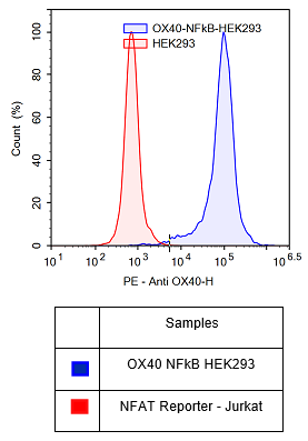 Anti-OX40, PE-Labeled, Fluosite(TM)