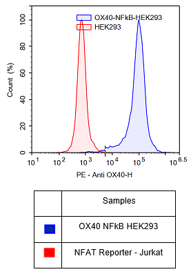 Anti-OX40 , PE-Labeled