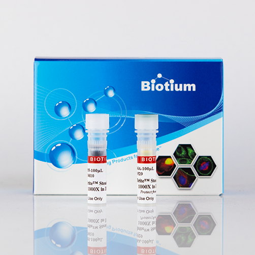 CellBrite(TM) Steady 650 Membrane Staining Kit