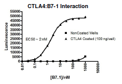 CTLA4:B7-1[Biotinylated] Inhibitor Screening Assay Kit