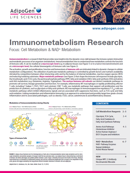 Immunometabolism Research