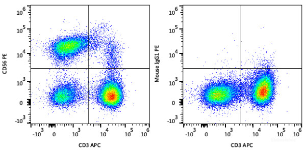 Anti-Human CD56 (PE Conjugated)[5.1H11], clone 5.1H11