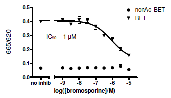 TAF1 (BD1+BD2) TR-FRET Assay Kit