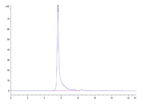 Pentraxin 2/SAP hFc Chimera, Mouse