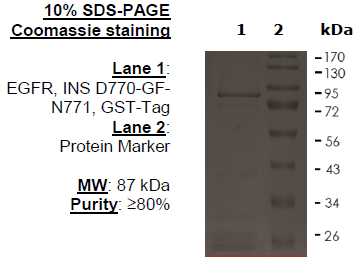 EGFR, INS D770-GF-N771, GST-Tag