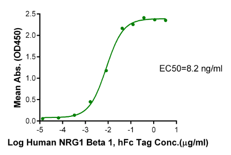 Her4/ErbB4[Biotin], His &amp; Avi, Human