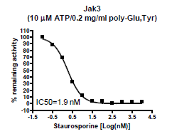 JAK3 (Janus Kinase 3) Assay Kit