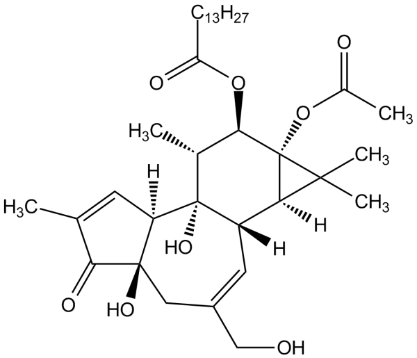 Phorbol 12-myristate 13-acetate