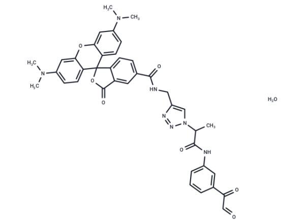 Citrulline-specific Probe-Rhodamine