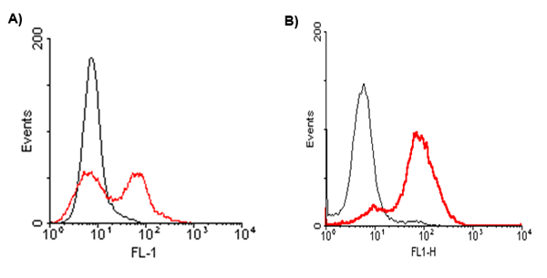 Anti-CD137 (mouse), clone M4173