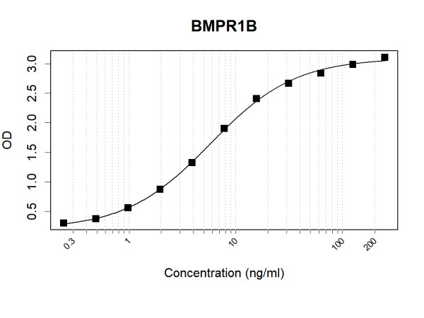 Anti-Human BMPR1B Antibody Pair