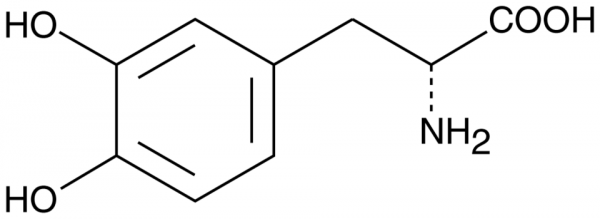 D-DOPA