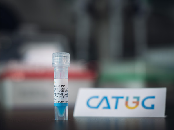 CatPure(TM) Cy5 mCherry mRNA