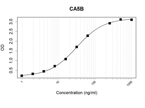Anti-Human CA5B Antibody Pair