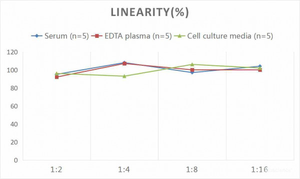 Human IL-8 (Interleukin 8) CLIA Kit