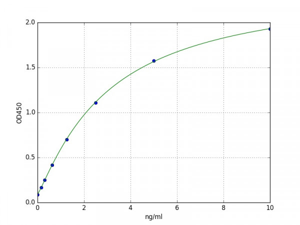 Human MAGEC1 / Melanoma-associated C1 ELISA Kit