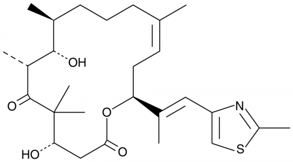 Epothilone D