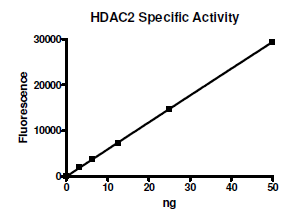 HDAC-2, active human recombinant protein, DDDDK Tag