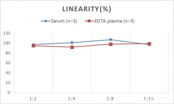 SARS-CoV-2 Spike Protein S1 RBD ELISA Kit