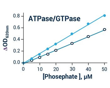 ATPase/GTPase Assay Kit (Colorimetric)