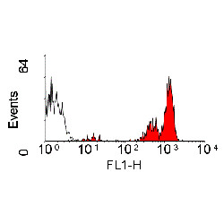 Anti-CD45 (FITC), clone YKIX716.13