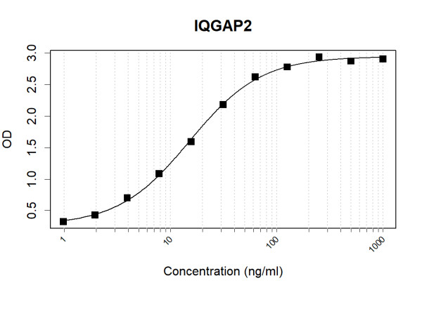 Anti-Human IQGAP2 Antibody Pair