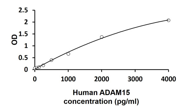 Human ADAM15 ELISA Kit