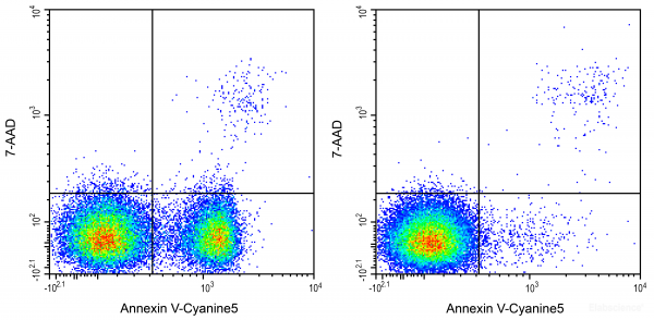 Annexin V-Cyanine5 / 7-AAD Apoptosis Detection Kit