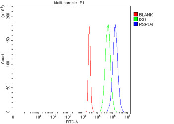 Anti-RSPO4 / R-spondin-4