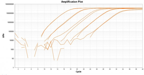 TAQuest(TM) qPCR Master Mix with Helixyte(TM) Green *No ROX*