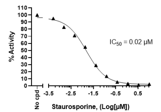 Chemi-Verse(TM) CLK2 Kinase Assay Kit